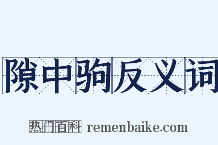 隙中驹反义词是什么意思的图片
